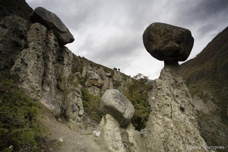 Каменные грибы в урочище Аккурум (долина реки Чулышман)