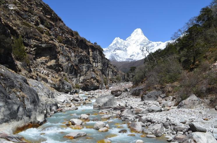 Река, лес и горы в Гималаях. Амадаблам