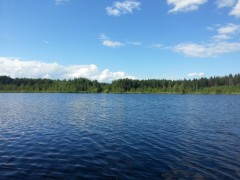 Воспоминания Валерия Суркова о походе на Ногинские озера