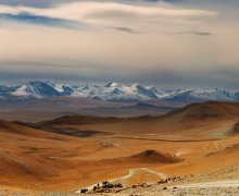 Большое путешествие по Монголии - 2023