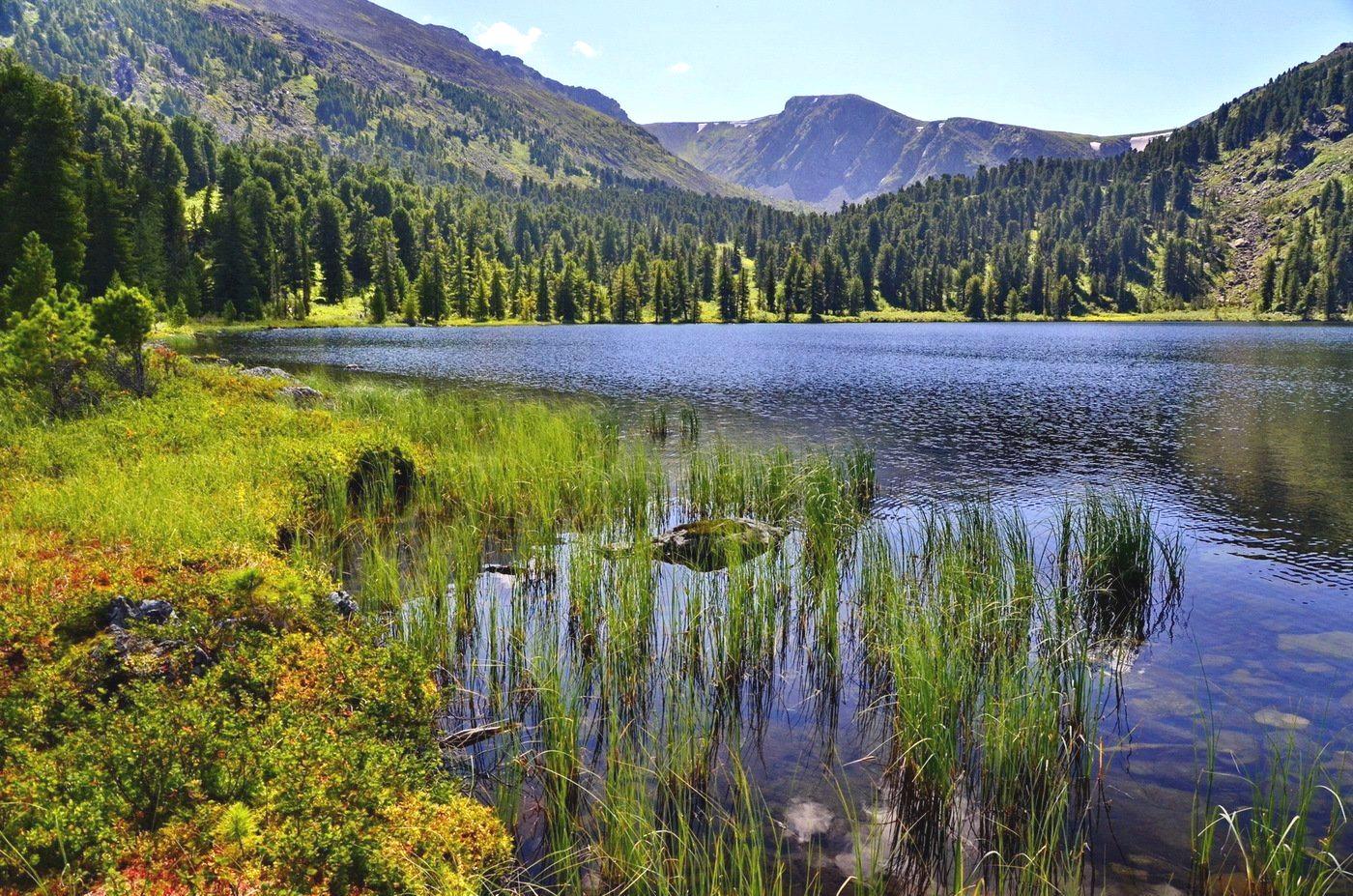 4 озера на алтае. Каракольские озёра горный Алтай. Чемальский район Каракольские озера. Озеро Маранкуль. Каракольские озера в Горном Алтае.