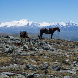 Путешествие на Укок (Алтай)