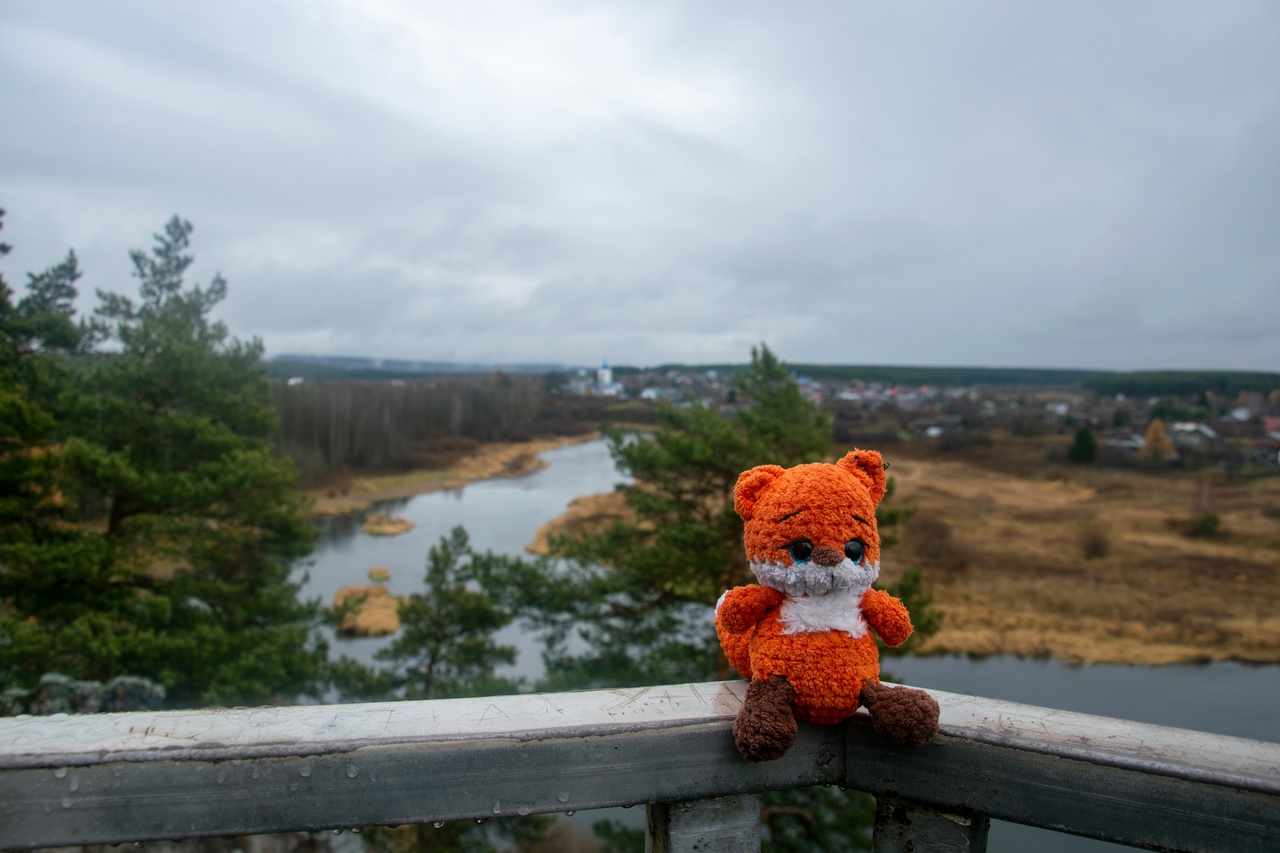 Моросящий дождик не смог помешать нашей воскресной прогул...