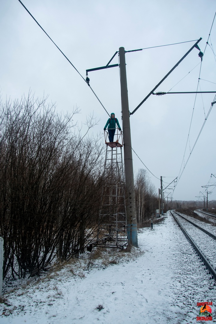 Сегодня любители походов посетили город Невьянск. Погулял...