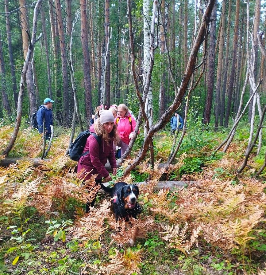 Золотые краски осени на озере Куртугуз.