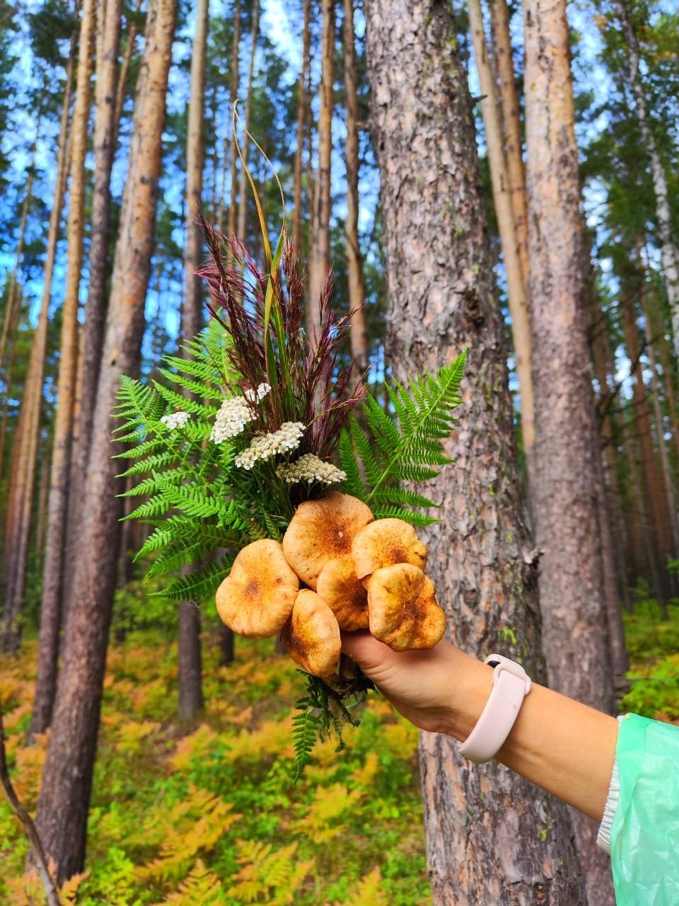 Золотые краски осени на озере Куртугуз.